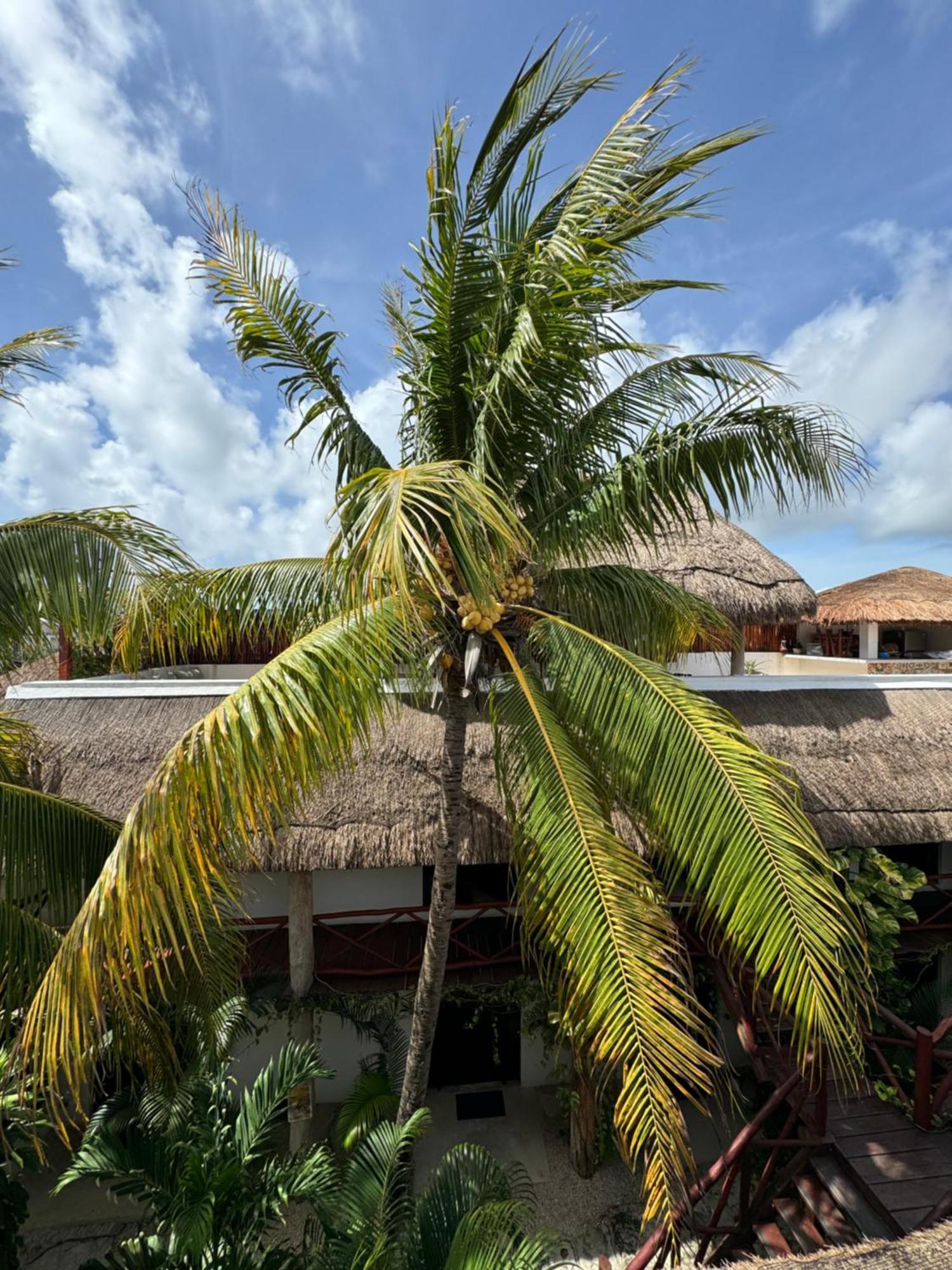 Kin Ha Tulum Hotel Bagian luar foto